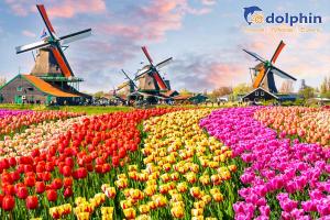 [Hà Nội] Du lịch Châu Âu : Pháp - Bỉ - Hà Lan - Đức - Thụy Sĩ - Ý - Vatican 15N14D bay HK Turkish Airlines