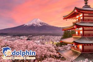 [Hà Nội] Cung đường vàng Nhật Bản Osaka - Kyoto - Fuji - Tokyo 6N5D bay HK Vietnam Airlines