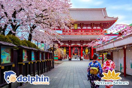 Du lịch Nhật Bản ngắm hoa anh đào: Osaka - Kyoto - Fuji - Tokyo 6N5Đ bay Vietnam Airlines KH từ Hà Nội