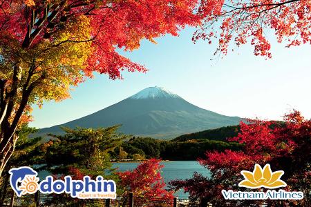 Nhật Bản mùa lá đỏ: Tokyo - Núi Fuji - Yokohama 4N3Đ bay Vietnam Airlines Khuyến mại khởi hành từ Hà Nội