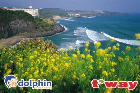 Tour du lịch Hàn Quốc 2019: Seoul - Đảo Jeju - Everland - Nami 6N5Đ bay HK T'way Air KH từ Hà Nội