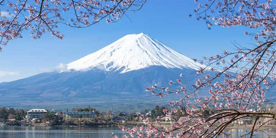 Mùa hoa anh đào 2019: Nhật Bản: Ibaraki – Yamanashi – Tokyo 4N4Đ bay Japan Airlines khởi hành từ HCM
