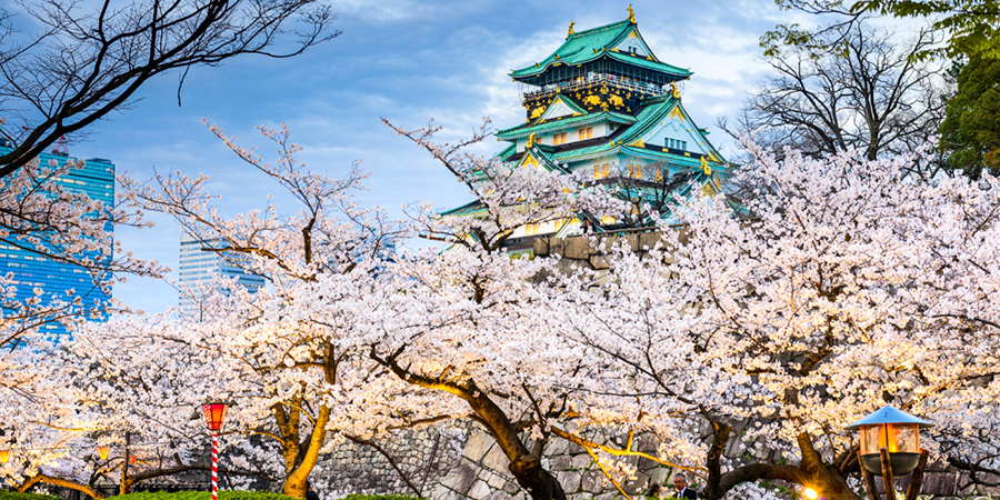 Du lịch Nhật Bản mùa hoa anh đào 2019 