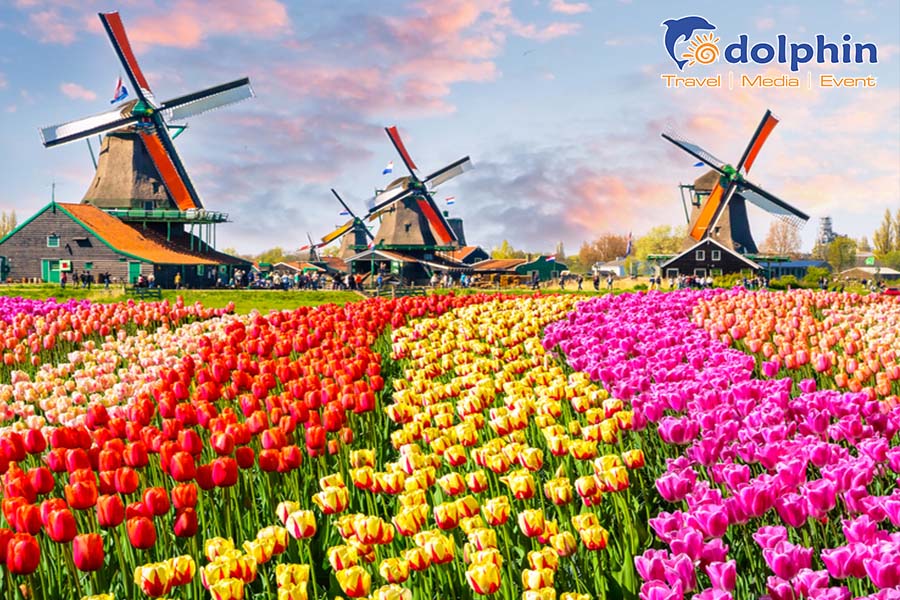 [Hà Nội] Du lịch Châu Âu : Pháp - Bỉ - Hà Lan - Đức - Thụy Sĩ - Ý - Vatican 15N14D bay HK Turkish Airlines