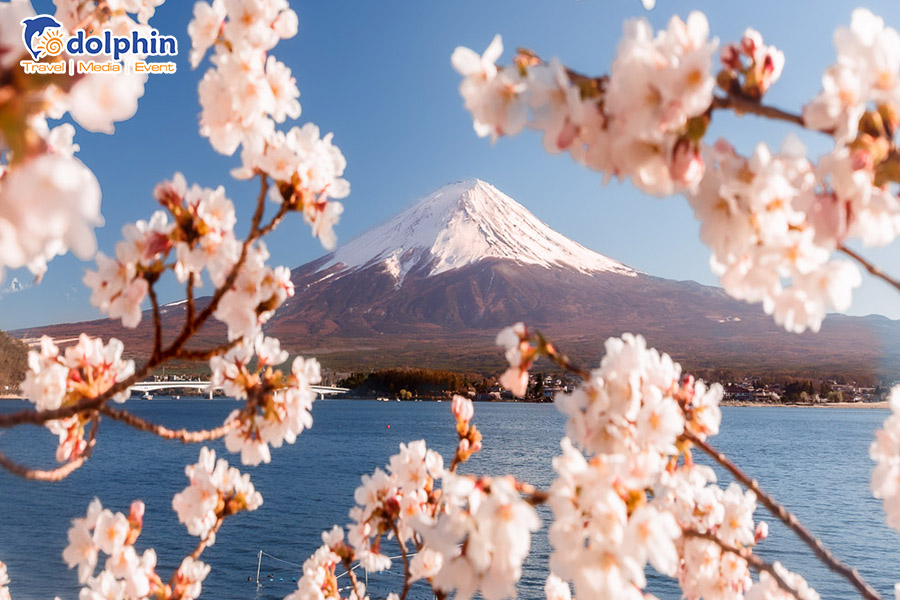 [Hà Nội] Du lịch Nhật Bản 2023: Osaka – Kyoto - Fuji - Tokyo - Ngắm hoa anh đào sớm  6N5D bay Vietnam Airlines