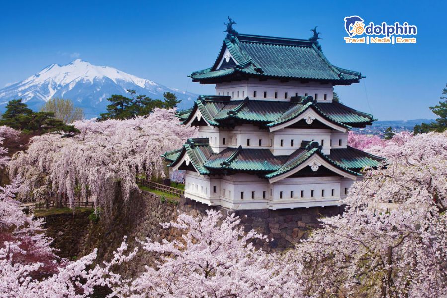 [HÀ NỘI] Du lịch Nhật Bản mùa Hoa anh đào 6N5Đ Osaka – Kyoto – Núi Phú Sĩ - Tokyo