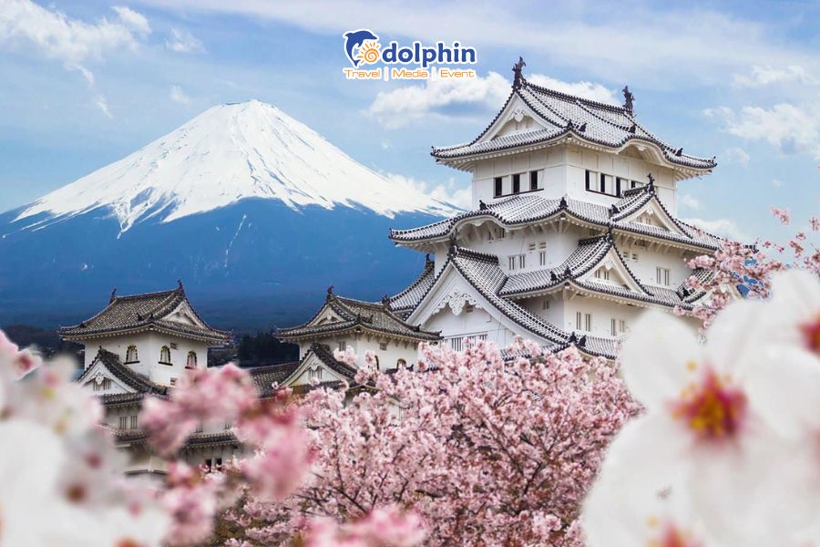 [HÀ NỘI] Du lịch Nhật Bản mùa Hoa anh đào 6N5Đ Osaka – Kyoto – Núi Phú Sĩ - Tokyo