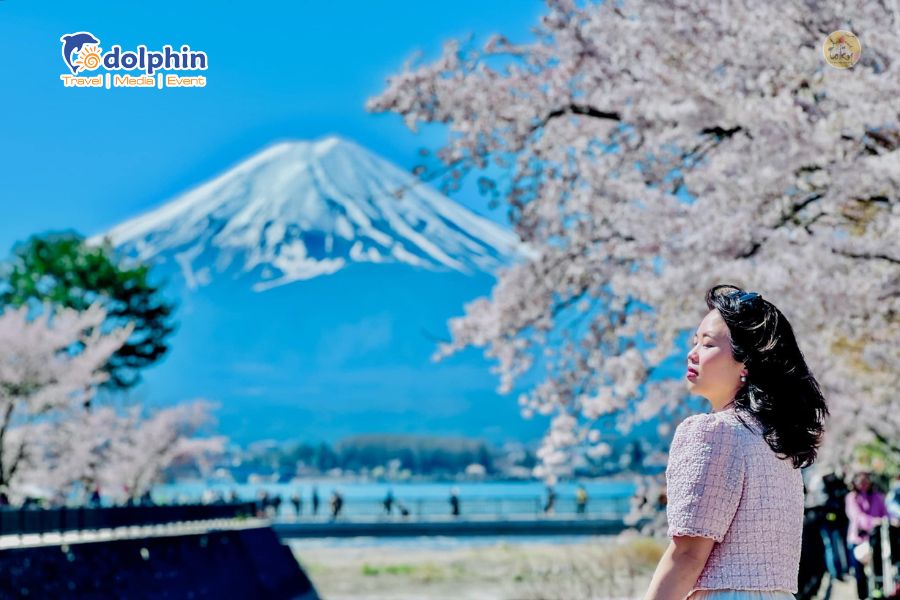 [HÀ NỘI] Du lịch Nhật Bản mùa Hoa anh đào 6N5Đ Tokyo - Núi Phú Sĩ - Kyoto - Osaka - Nagoya
