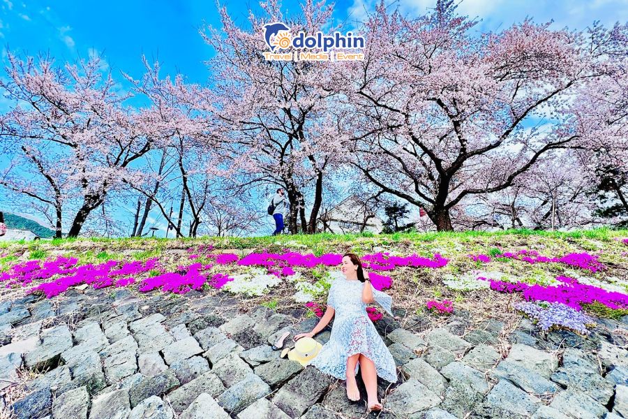 [HÀ NỘI] Du lịch Nhật Bản mùa Hoa anh đào 6N5Đ Nagoya - Osaka - Kyoto - Núi Phú Sĩ - Tokyo